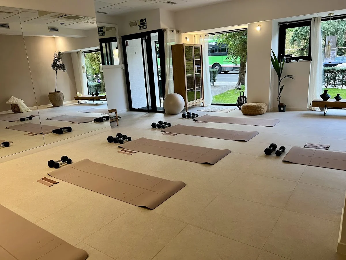 Sculpt Studio
