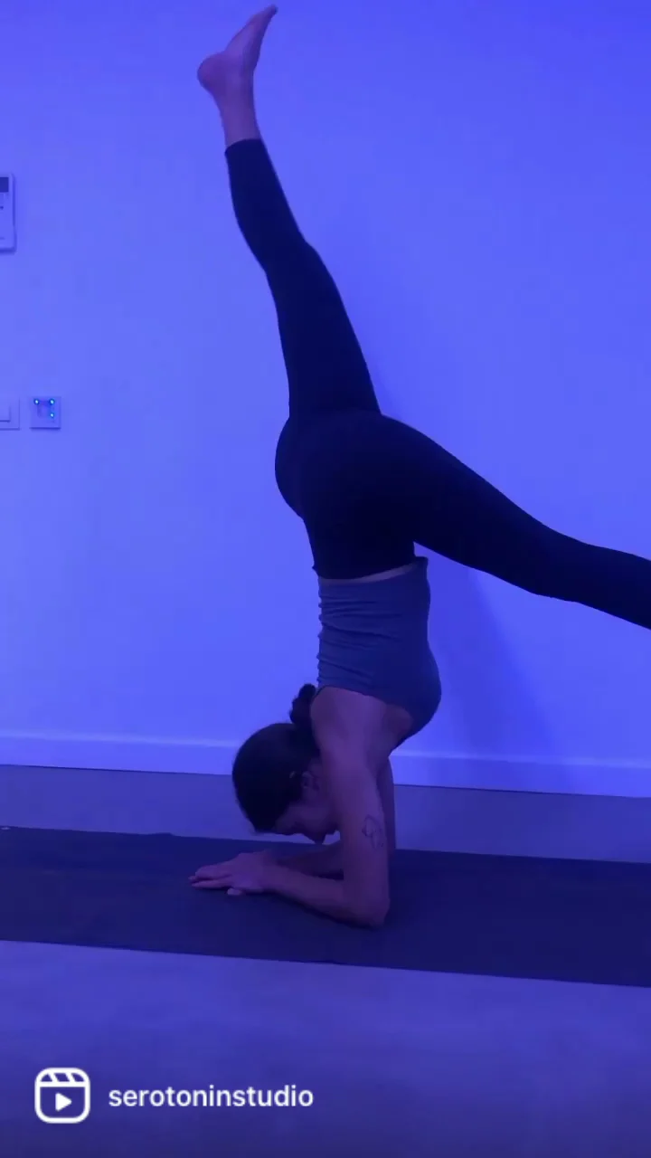 Serotonin Studio - 2