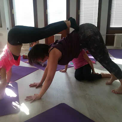 Shama Yoga Estudio