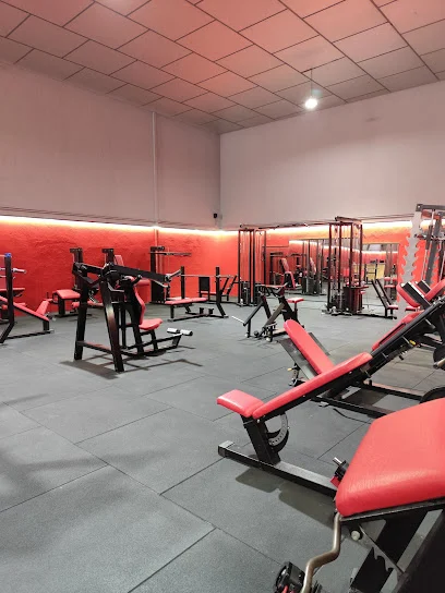 Strong Fight And Fitness | Jiu Jitsu y MMA en granada