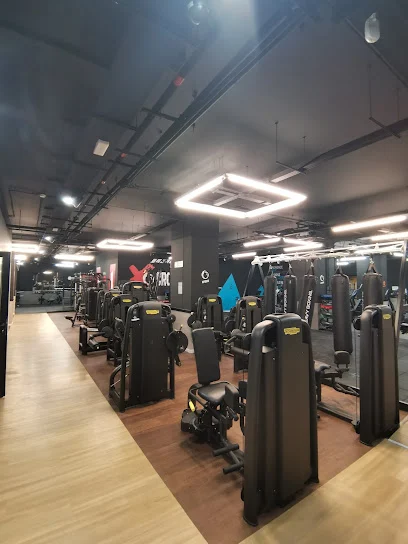 Synergym Logroño Las Gaunas