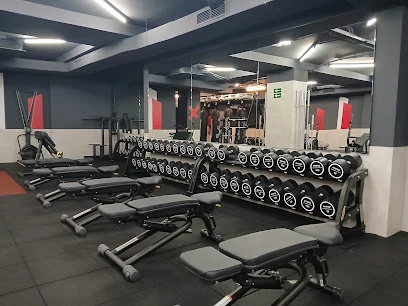 Synergym Zaragoza Aljafería