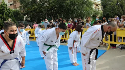 TAEKWONDO C.D. Tigre y Dragon