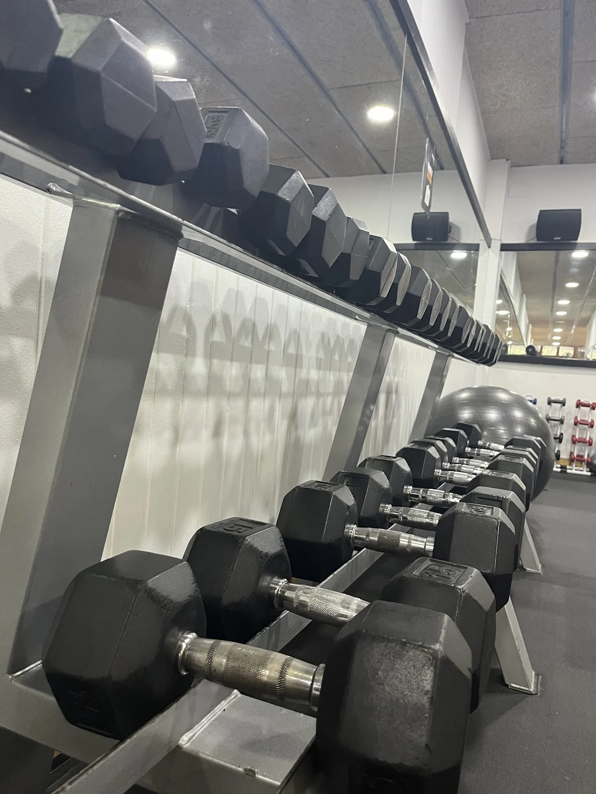 The Body Fitness Club - 5