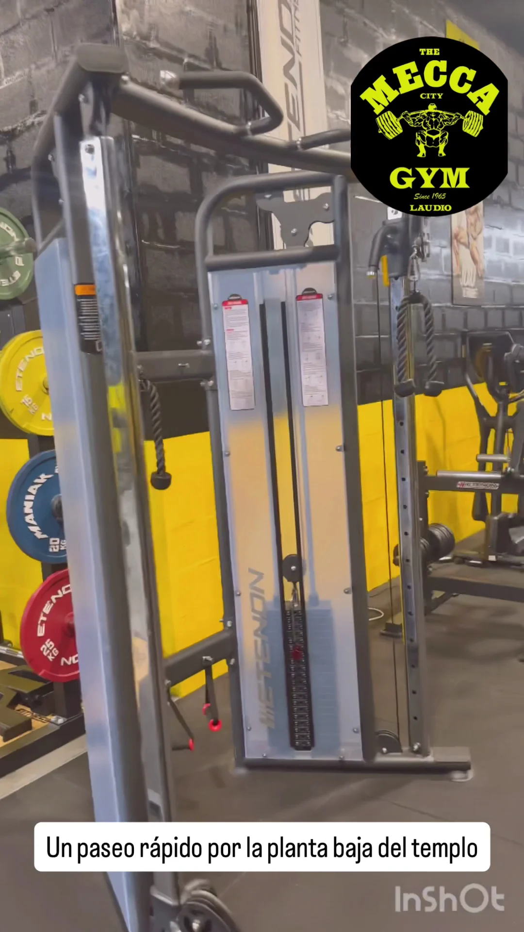 The Mecca Gym Laudio - 4