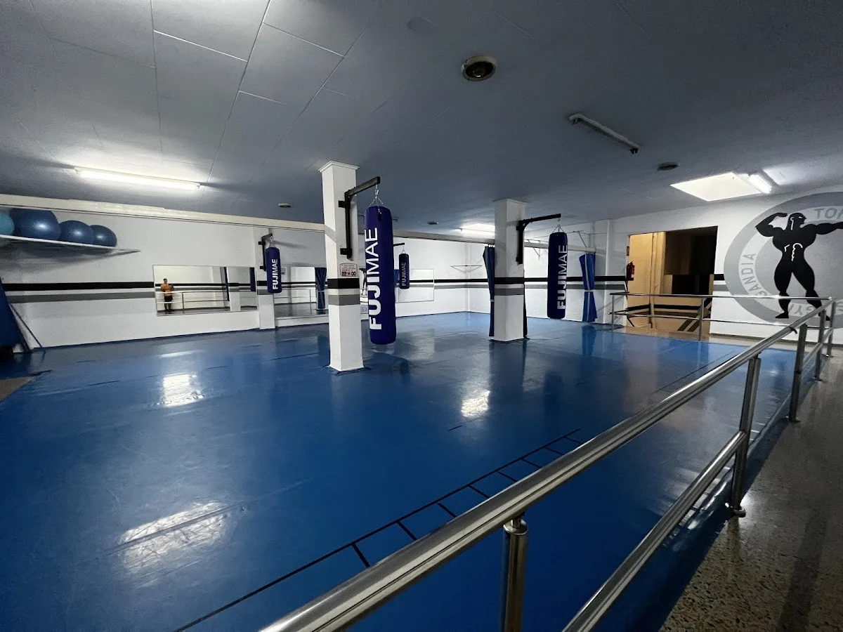 Top Body Gym