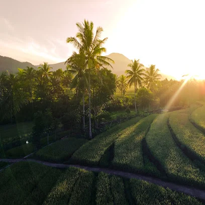 TUSHALA Yoga La Palma