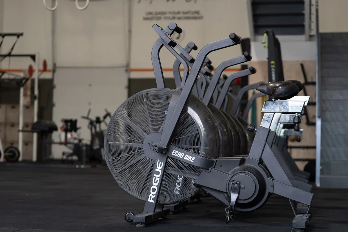 Vilanova Jungle Fitness Club - 2
