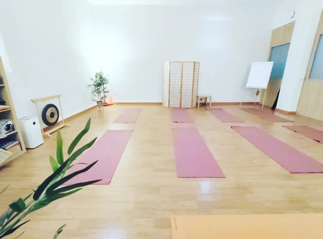 VINYASA Yoga