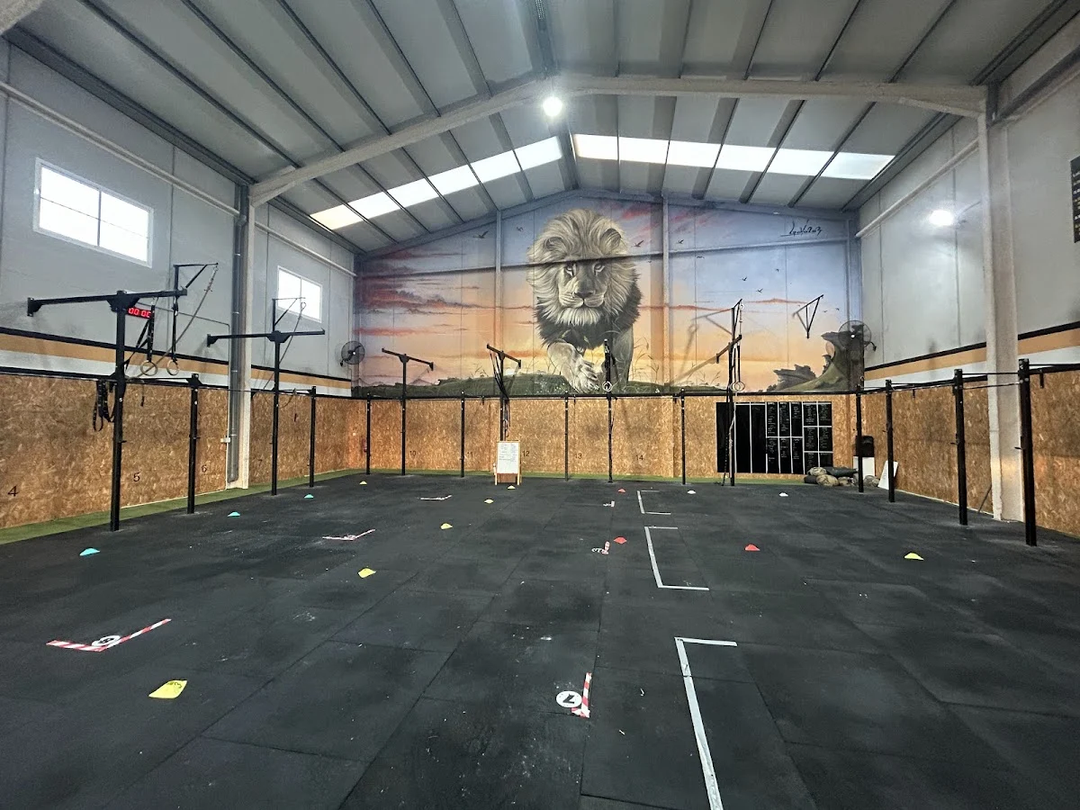 Wild Soul Crossfit El Pilar
