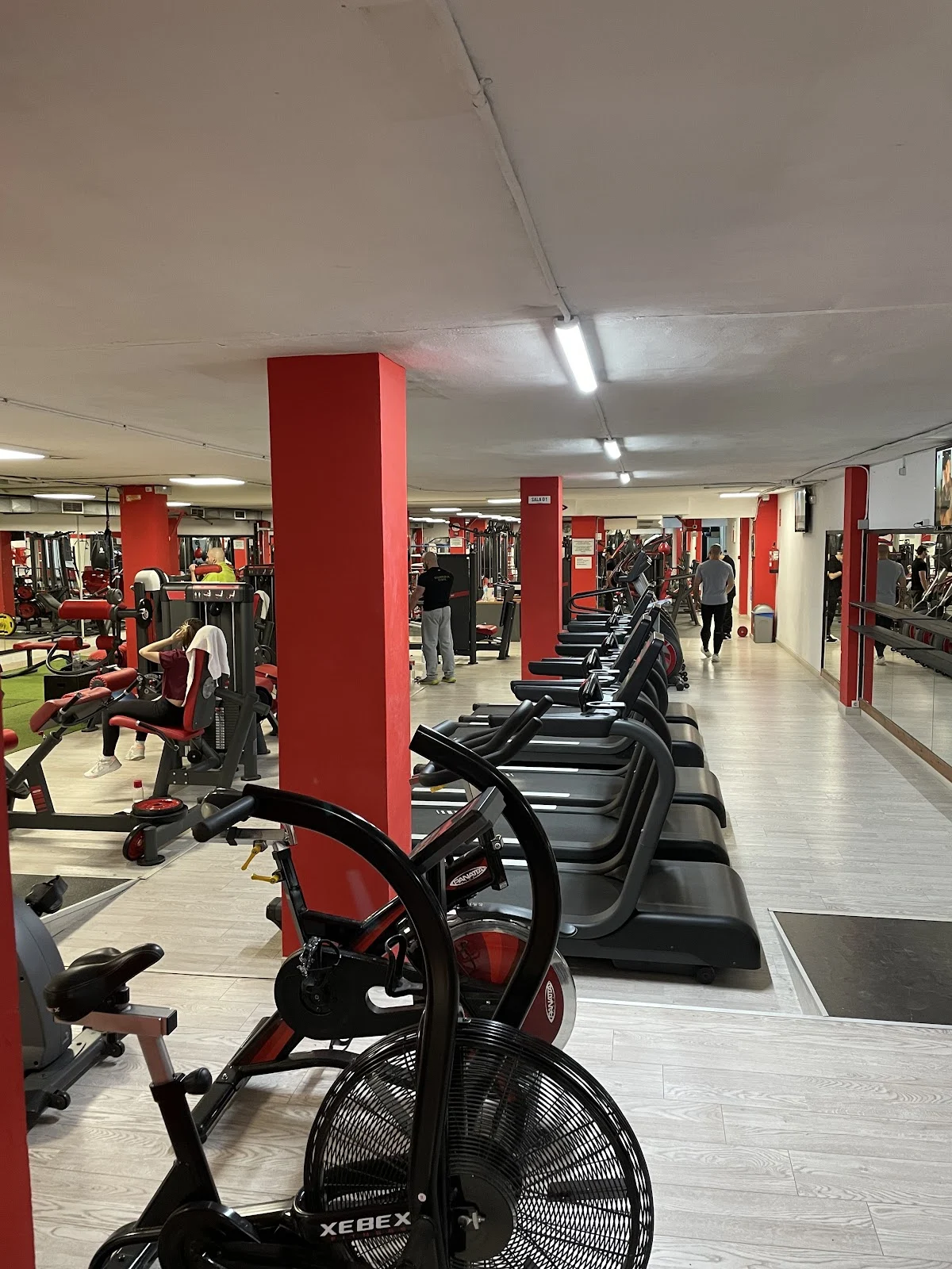 XFit - 4