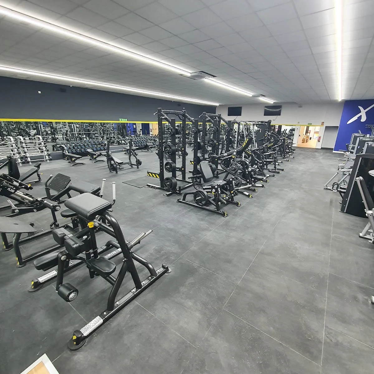 Xfitness Pinto