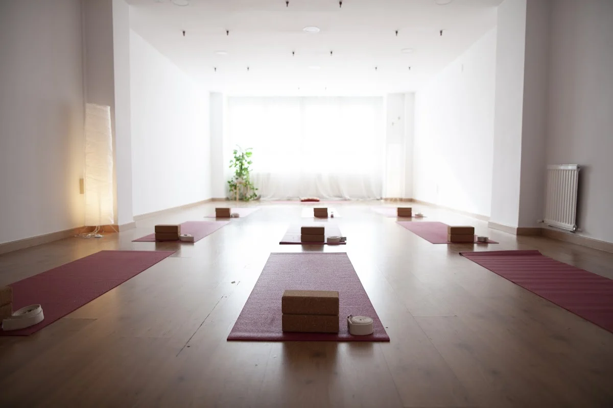 Yoga Bizia: Yoga Integral, Yoga Aéreo y Meditación. Yoga Bilbao