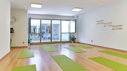 Yoga Terrassa