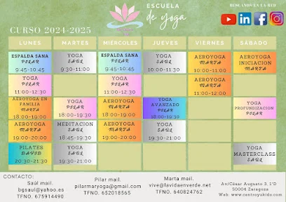 Yoga Zaragoza. Escuela de Yoga Saul Becana