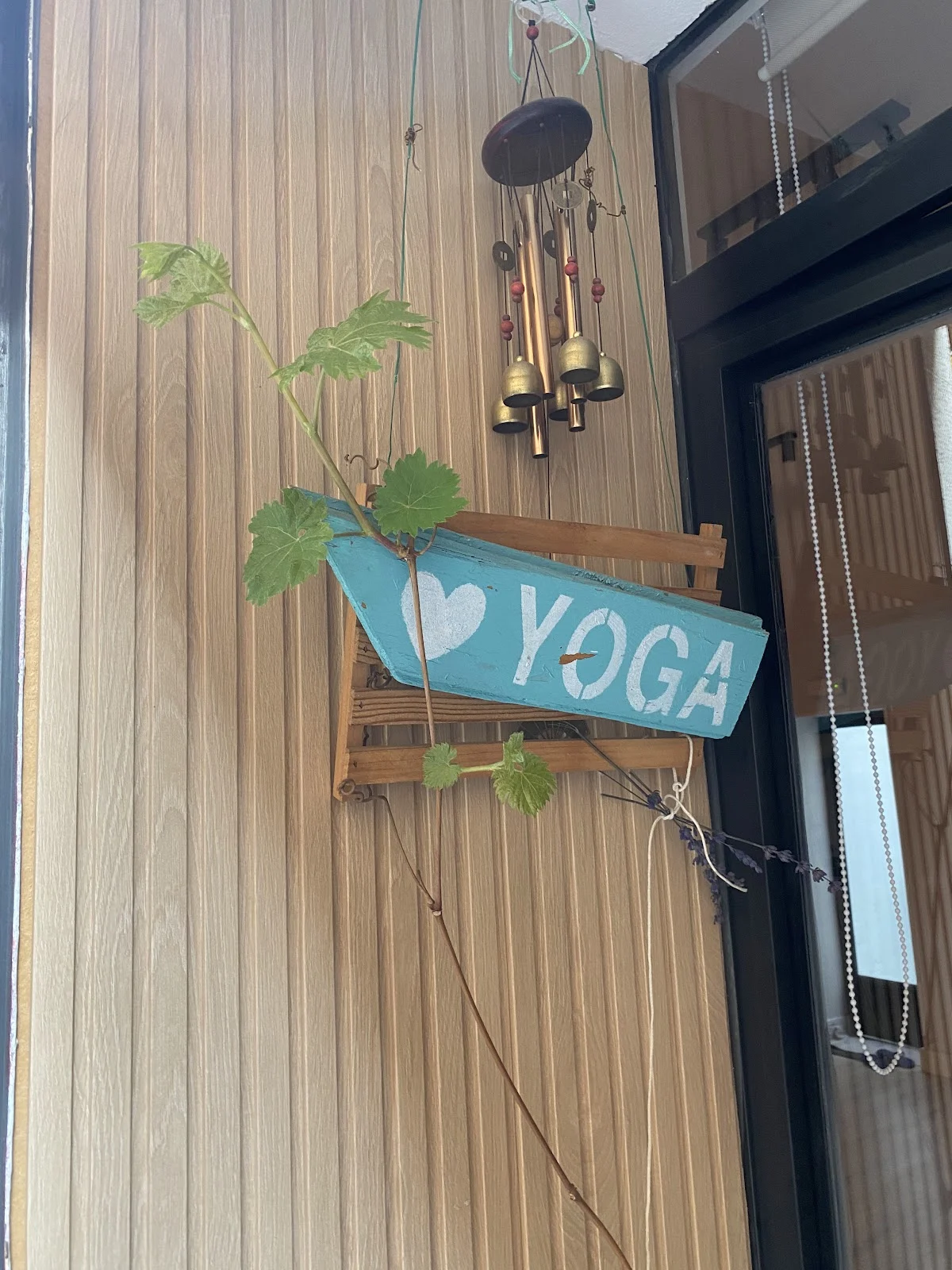 Yogaconmigo